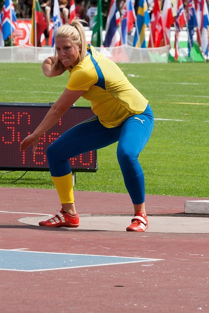 条款常常是 条款常常是