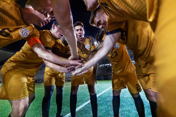 药厂深耕 药厂深耕